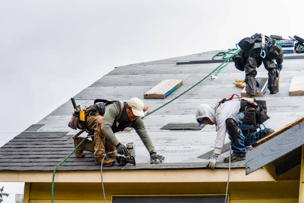 Professional Storm Damage Roof Repair technician working in Spangler, PA